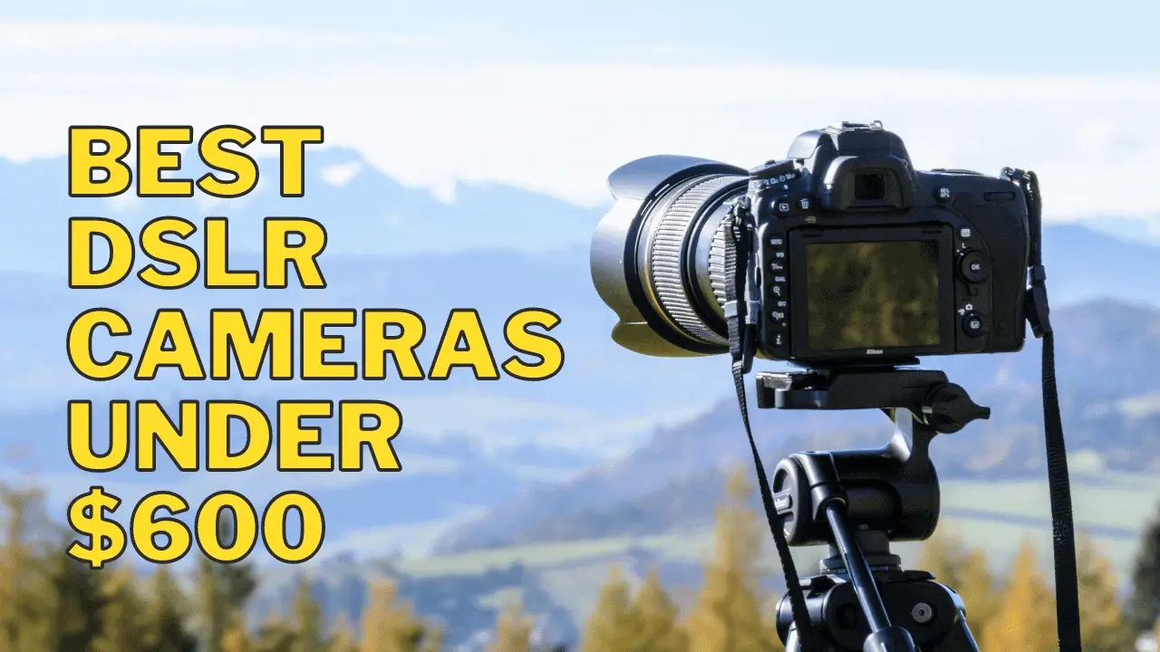 Best DSLR Cameras Under $600